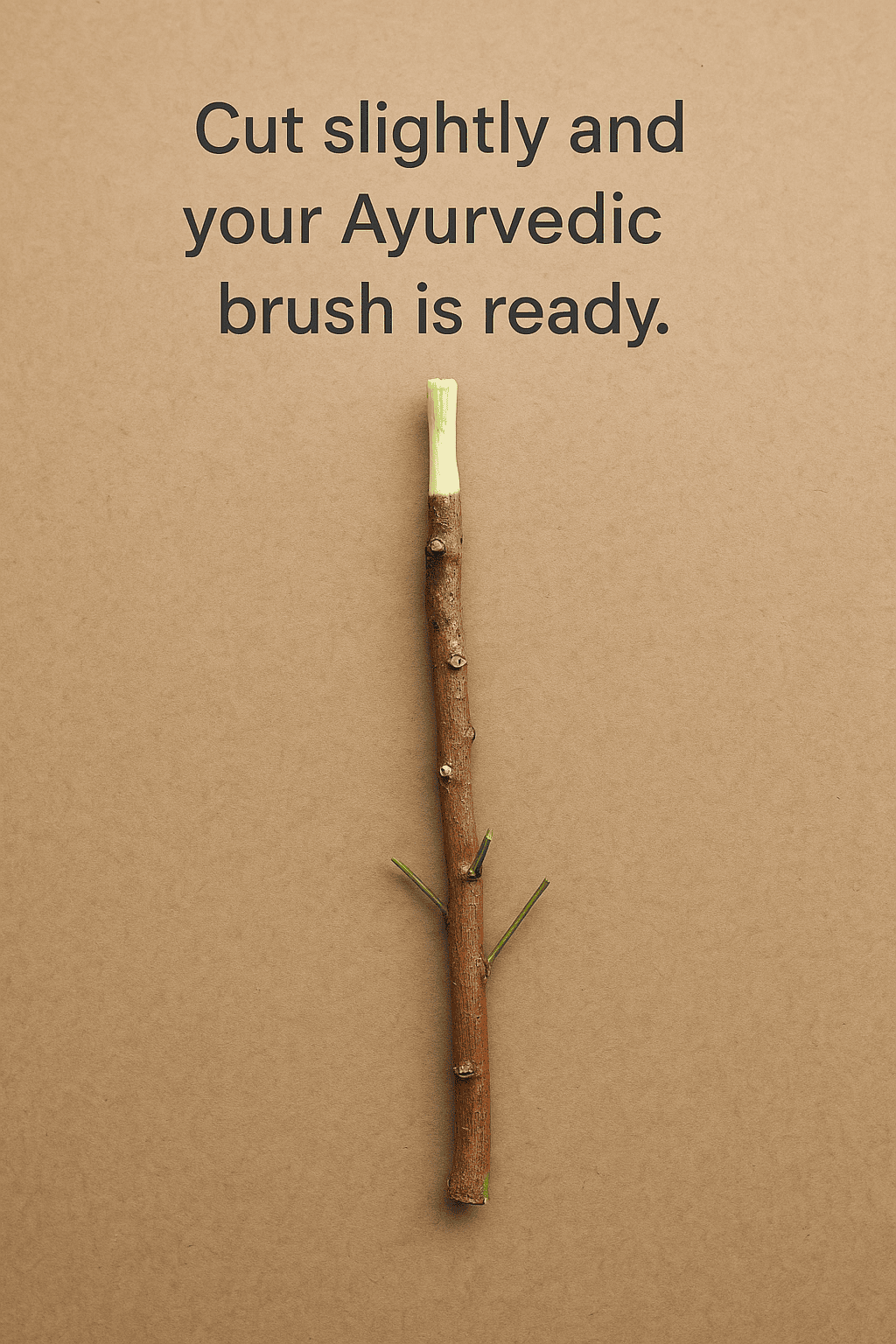 Natural Neem Sticks for Oral Care – Ayurvedic Herbal Datun | Neem Toothbrush Stems for Teeth Cleaning & Gum Health (Pack of 15) Thumbnail 4